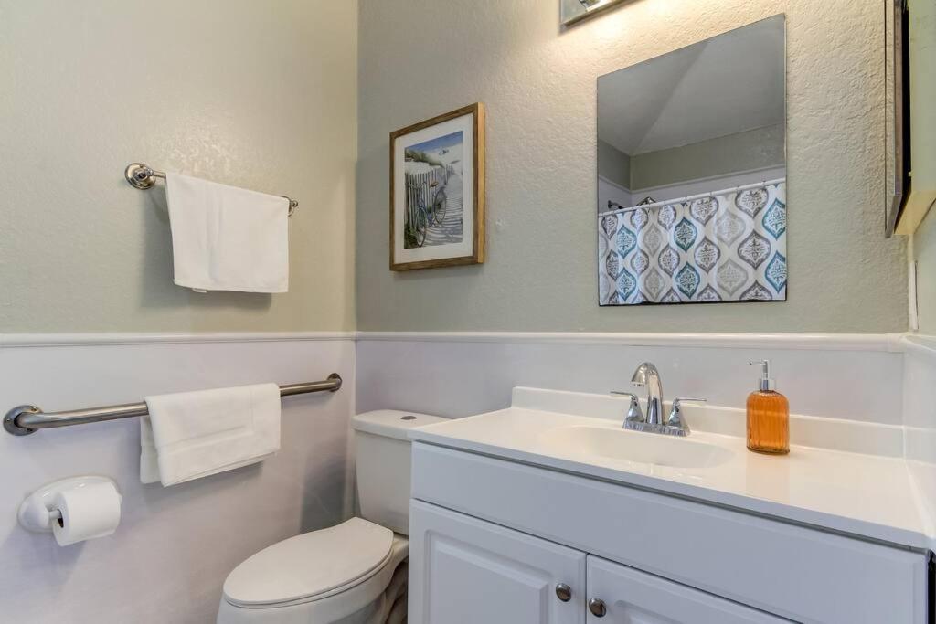 Appartement Beautiful In Downtown Dunedin!